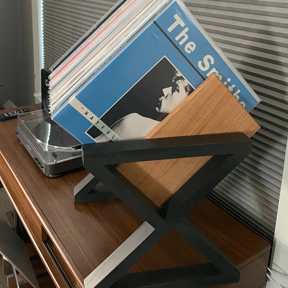 Vinyl record storage OOAK